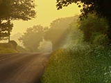 The Road Not Taken