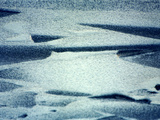 Pack Ice