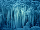 Jelly Fish Ice