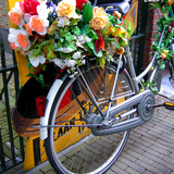 Dutch Flower-Power Bike