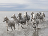 Run on the Water