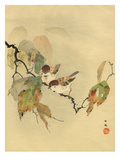Sparrows with autumn leaves
