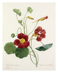 Plate 139