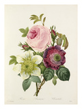 Plate 127