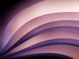 A Fan of Purple