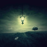 Follow the White Rabbit