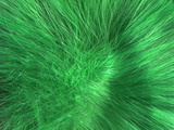 Green Duster Detail