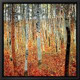 Forest of Beech Trees  c1903
