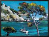 Promenade Dans Les Calanques