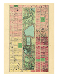 1867  New York City  Central Park Composite  New York  United States