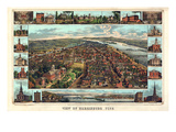 1855  Harrisburg Bird's Eye View  Pennsylvania  United States