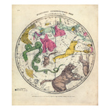 1835  Circumpolar Map Northern  Constellations