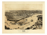 1851  New Orleans Bird's Eye View  Louisiana  United States
