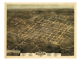 1872  Raleigh Bird's Eye View  North Carolina  United States