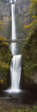 Low Angle View of a Waterfall  Multnomah Falls  Columbia River Gorge  Multnomah County  Oregon  USA