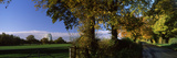 Radio Telescope in a Field  Jodrell Bank Observatory  Jodrell Bank  Macclesfield  Cheshire  England