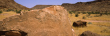 Ancient Rock Carvings  Twyfelfontein  Kunene Region  Namibia