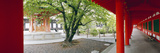 Walkway of a Temple  Sanjusangendo Temple  Kyoto City  Kyoto Prefecture  Kinki Region  Honshu  J