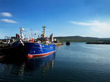 Fishing Harbour  Dingle Town  County Kerry  Ireland