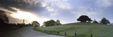 Road Passing Through a Landscape at Dawn  Bolton's Bench  Lyndhurst  New Forest  Hampshire  England