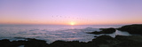 Sunset over the Ocean with Flock of Birds  Mendocino  Mendocino County  California  USA
