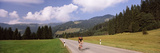 Cyclist in a Forest  Balderschwang  Oberallgau  Allgau  Bavaria  Germany