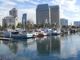 Fishing Boats Docked at a Marina  San Diego  California  USA