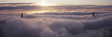 Suspension Bridge Covered with Fog Viewed from Hawk Hill  Golden Gate Bridge  San Francisco Bay 