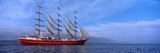 Tall Ships Race in the Ocean  Baie De Douarnenez  Finistere  Brittany  France