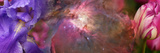 Close-Up of Hubble Galaxy with Iris and Tulip Flowers