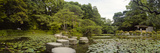 Stepping Stones in a Lake  Naka Shinen  Heian Jingu Shrine  Kyoto Prefecture  Kinki Region  Hons