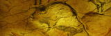 Paleolithic Paintings  Altamira Cave  Santillana Del Mar  Cantabria  Spain