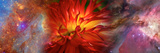 Hubble Galaxy with Red Chrysanthemums
