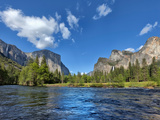 River Flowing Through a Forest  Merced River  Yosemite Valley  Yosemite National Park  Californi