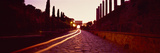 Ruins Along a Road at Dawn  Roman Forum  Rome  Lazio  Italy