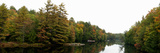 Reflection of Trees in the Musquash River  Muskoka  Ontario  Canada
