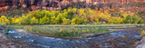Virgin River at Big Bend  Zion National Park  Springdale  Utah  USA