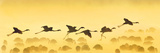 Flamingos Landing  Kenya