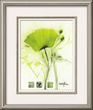Coquelicot Vert I