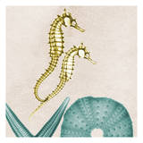 Under The Sea 1