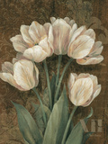 Petit Jardin Tulips
