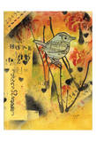 Wren Graffiti
