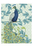 Peacock Full Tail 3
