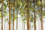 Forest Study I Crop