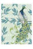 Peacock 1