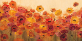 Summer Poppies