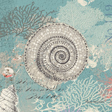 Shells on Aqua