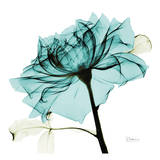 Teal Rose 2