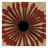 Ox Blood Chrysanthemum