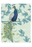 Peacock 3